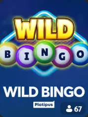 Wild Bingo BC Game Zambia game cover