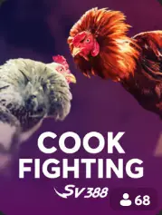 Cock Fighting BC Game Zambia game cover
